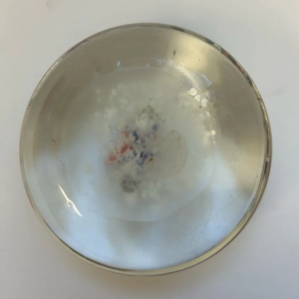 Vintage Murano Glass Aquarium  fish Paperweight